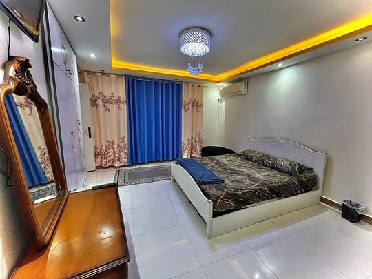 استخردار کاج شهر باران